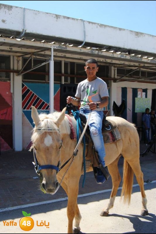 torath droor  (4).JPG